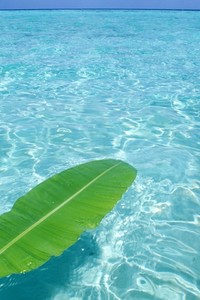 秘鲁备战摩洛哥，冲击16强