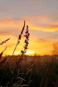 秘鲁备战摩洛哥，冲击16强