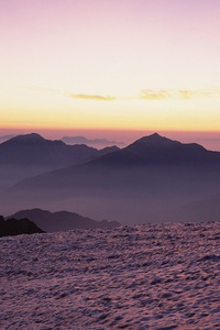 纵情篮球：谁能夺得胜利的宝座？