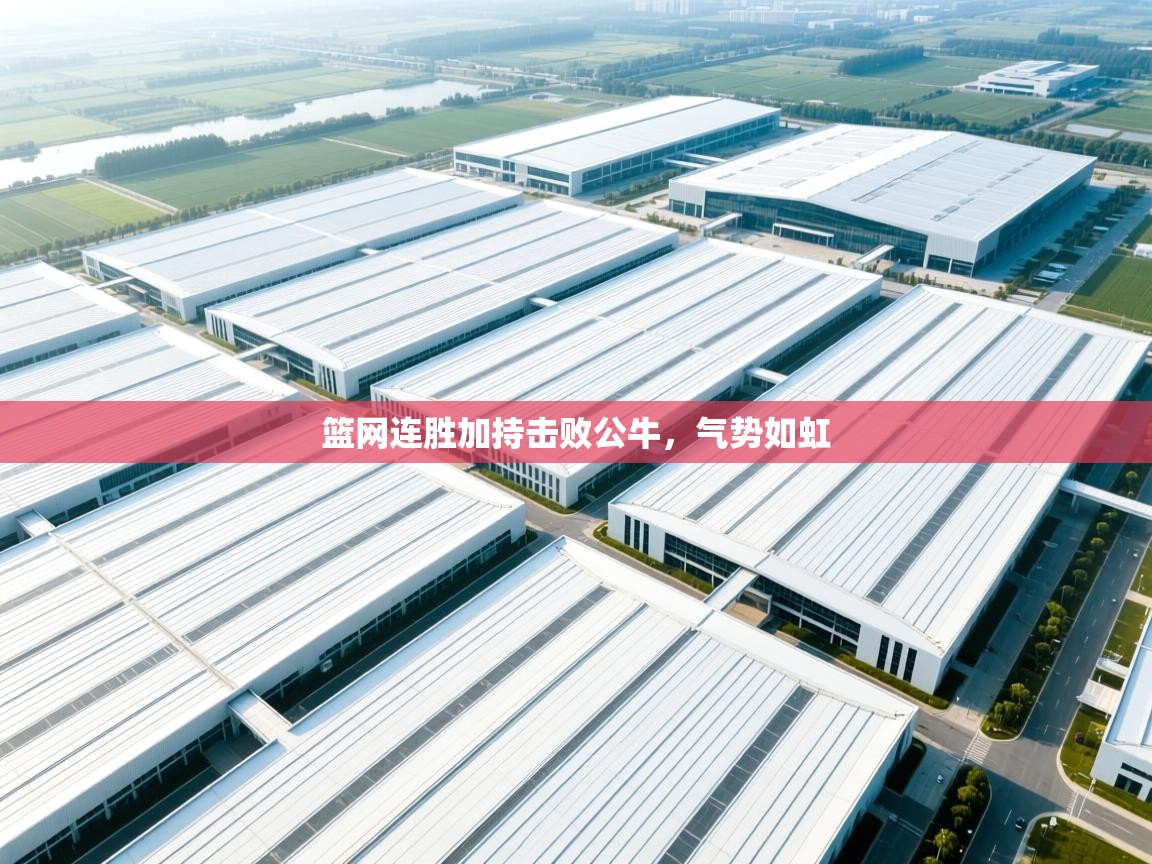 篮网连胜加持击败公牛，气势如虹