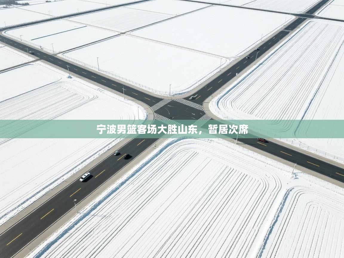 宁波男篮客场大胜山东，暂居次席