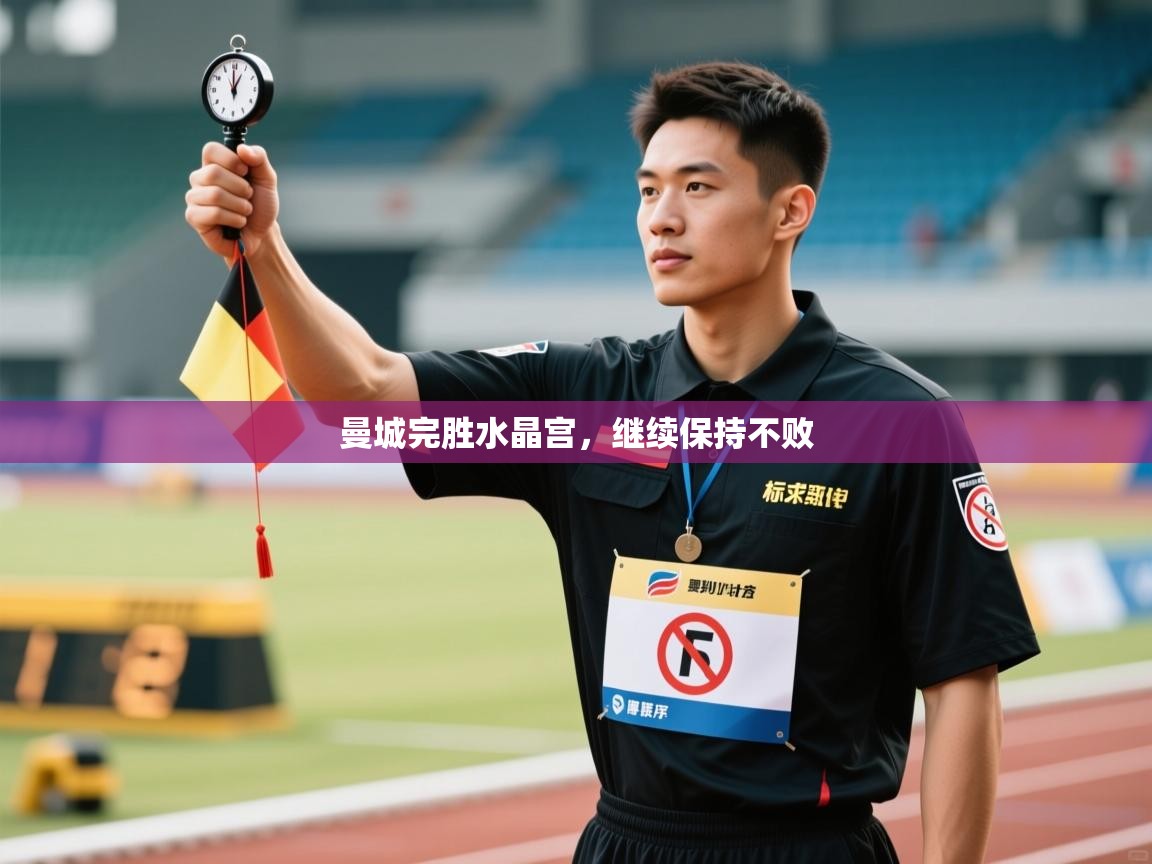 曼城完胜水晶宫，继续保持不败  第2张