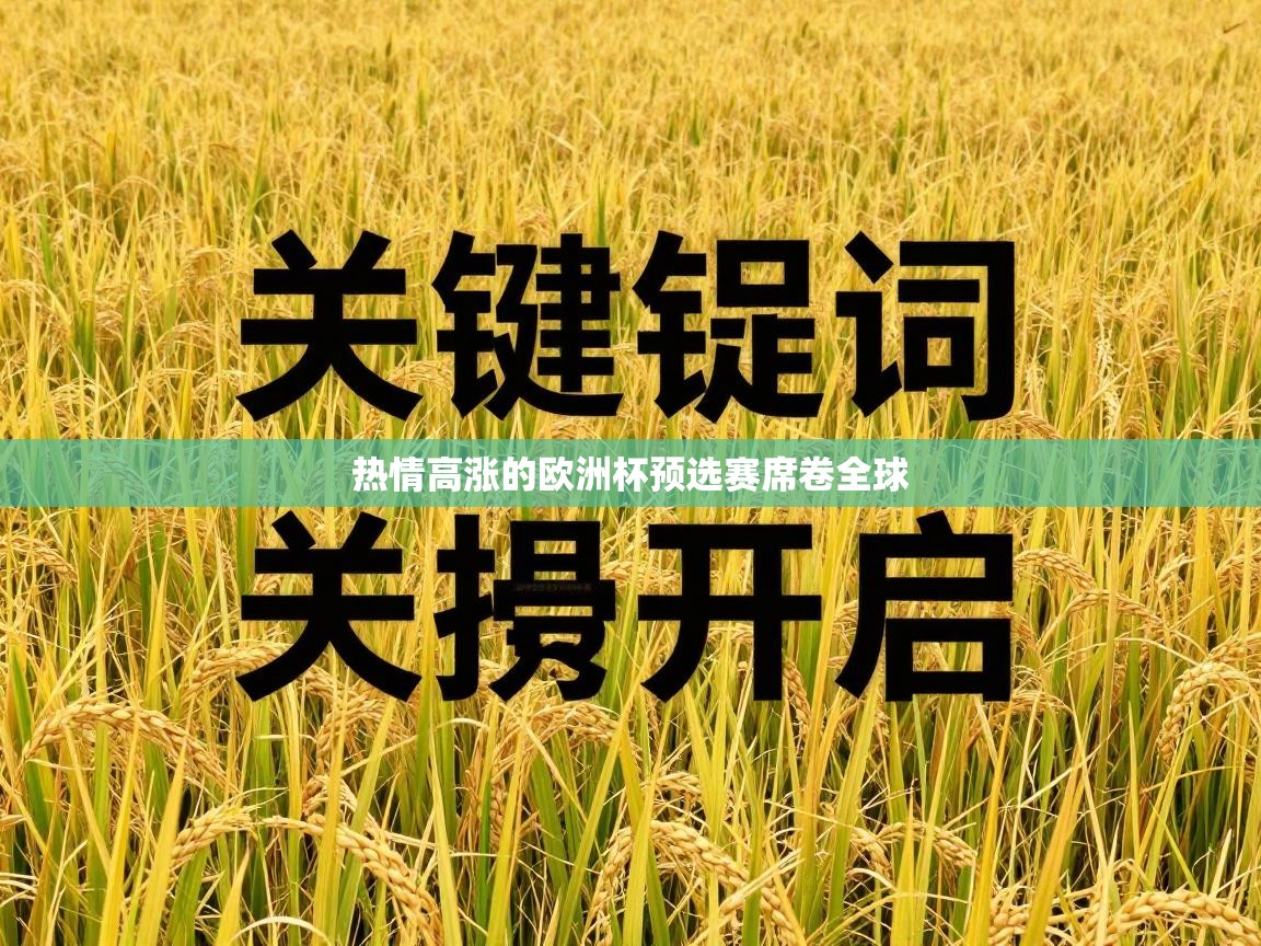 热情高涨的欧洲杯预选赛席卷全球
